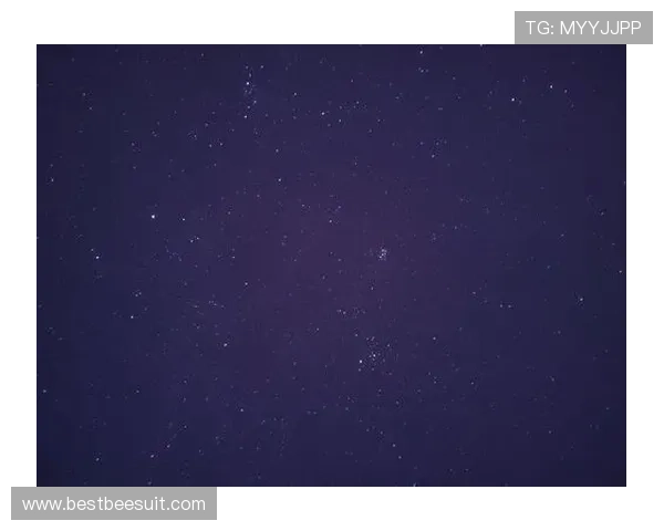 星空官方网站登录入口多设备登录指南，支持手机电脑多平台无缝切换