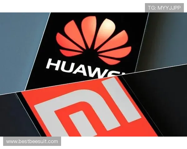 解析星空体育app官网登录的安全性与用户隐私保护