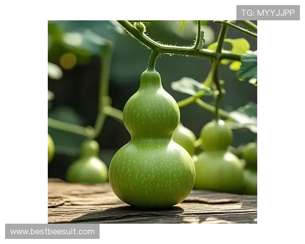 从开运中国吉祥物看中国传统文化的现代演绎