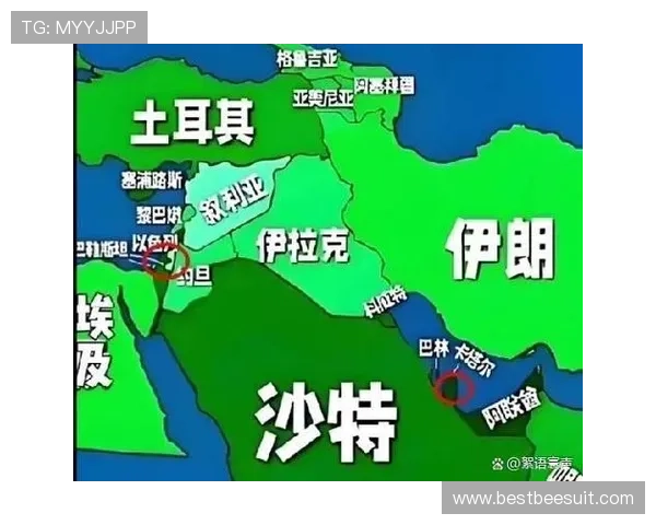 世界杯埃及队与伊朗队激烈角逐小组赛争夺赛况全面解析